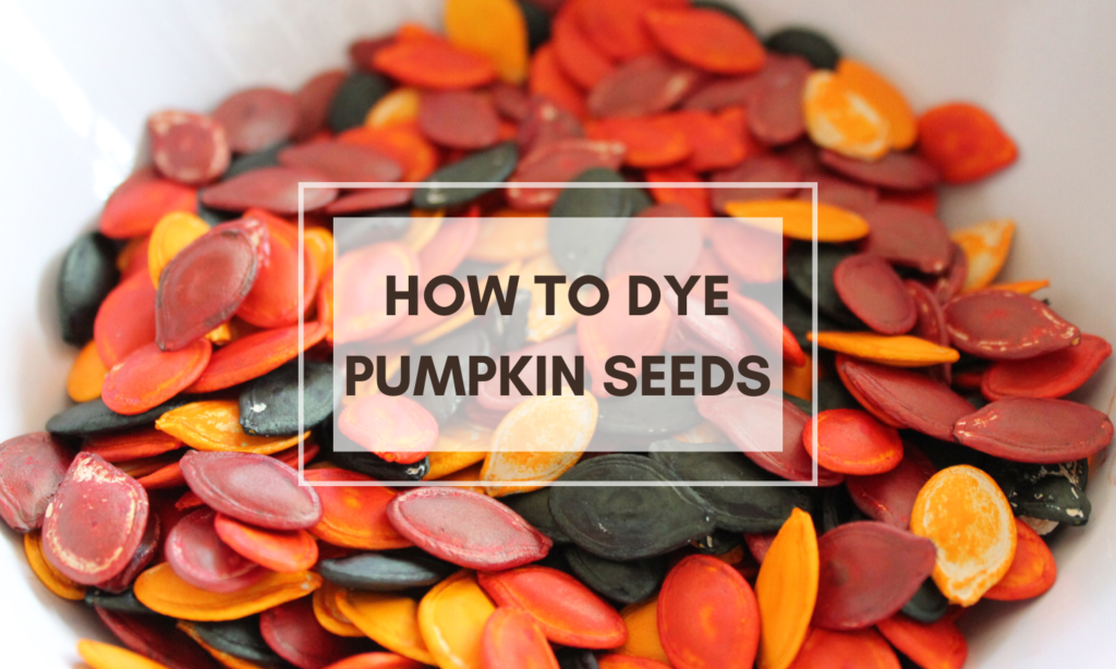 how-to-dye-pumpkin-seeds-full-bloom-creativityfull-bloom-creativity